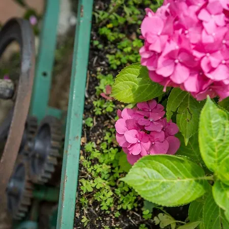 Couette-café Al Paschè